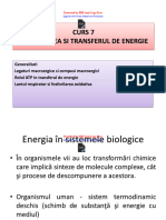 CURS 7 Metabolismul Energetic