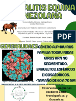 Encefalitis Equina Venezolana