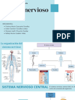 Sistema Nervioso Central Grupo#2