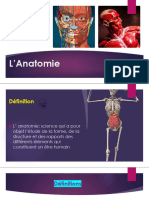 ANATOMIE 2024e