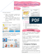 Anti-Inflamatórios Não Esteroidais - RESUMO 