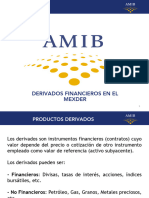 0 MDF Conceptos DLL - 231122 - 183921