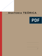 Anatomia Teórica 2