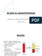 7 Blood & Hemopoesis