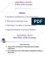 Agriculture Sector