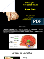 Diencéfalo e Telencéfalo