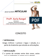 Sistema Articular 2