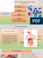 Cancer en El Sistema Digestivo Grupo 1