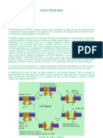 ELECTROLISIS