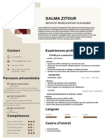 CV Salma Zitour