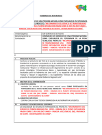 TDR - Estudio de Topografia Viñac