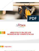 Arquitectura de Las Competenciasd