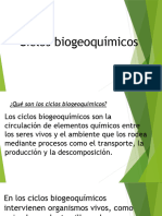 Ciclos Biogeoquímicos