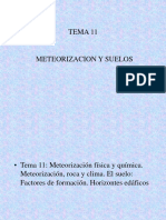 Tema 11 - Meteorizacion y Suelos