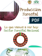 02 2022 Clase 2da Sector Forestal Produccion Forestal