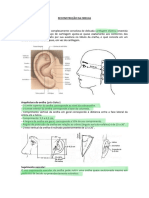 3 07 Reconstrução Da Orelha