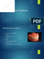 RAWAL Maxillary Canines