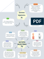 Mapa Mental Sistema Digestório