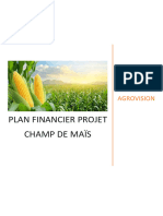 PLAN FINANCIER - AGROVISION - Copie