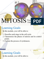 MITOSIS