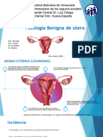 Patología Benigna de Útero 2024