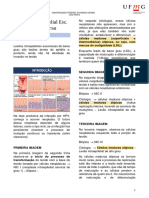 LSIL - Lesão Intraepitelial de Baixo Grau (Papanicolau)