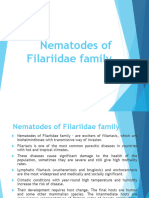 Nematodes of Filariidae Family