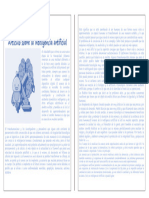 Articulo de Opinion Sobre La Inteligencia Artificial