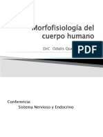 Morfofisiología Del Cuerpo Humano.2. Mex