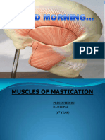 Muscles of Mastication