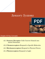 45 Sensory Systems