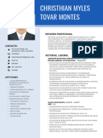 Christhian Myles Tovar Montes: Resumen Profesional