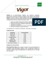 Vigor FICHA TECNICA.