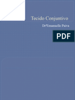 Tecido Conjuntivo - 3