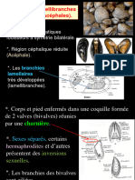 Zoologie 4