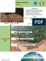 Grupo N°4 - 10A - Deforestación