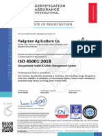 Cai Iso - Iso 45001