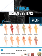 The 11 Systems