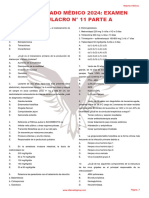 RM24 - Examen Simulacro 11 A