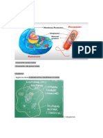 Resumo de Biologia 04-10