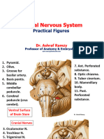 CNS Practical