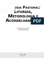 Teologia Pastoral - Liturgia, Metodologia e Aconselhamento