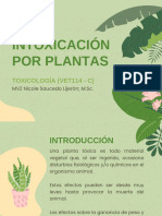 Plantas Tóxicas - 20240515 - 090322 - 0000