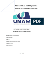 Informe de Muestreo de Suelo - Río Osmore - Camilo Castro Tejada