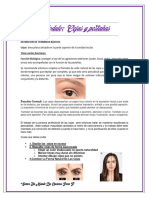 Guia Teorica Cejas y Pestañas