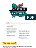 Chapter 5 Enzymes