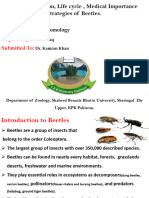 Entomology Presentataion