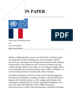 UNDP Position Paper, The Republic of France