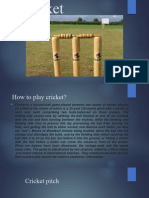 Cricket