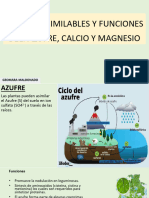 Formas Asimilables y Funciones